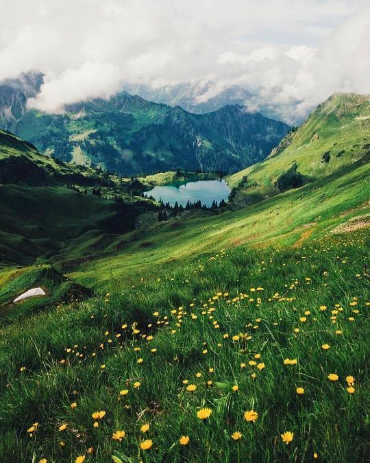 The mountain lake quiet and still,
The frozen ripples generate chill,
There are flowers in mountain to fill,
The grass, the clouds surround the landscape until,
I see my reflection at will.

#EarthDay #HAPPYJENODAY #ranboospace #AgustD #amici22 #poetry #writerslift #WriteMap #sky