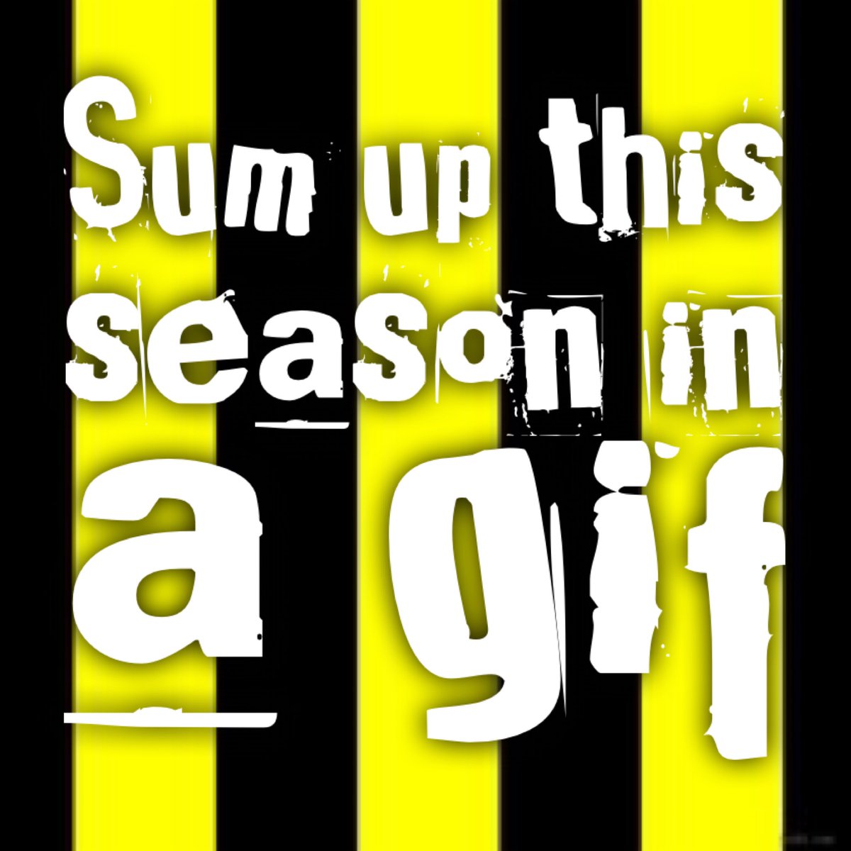 Do Not Scratch Your Eyes Watford FC Podcast 🐝 tweet media