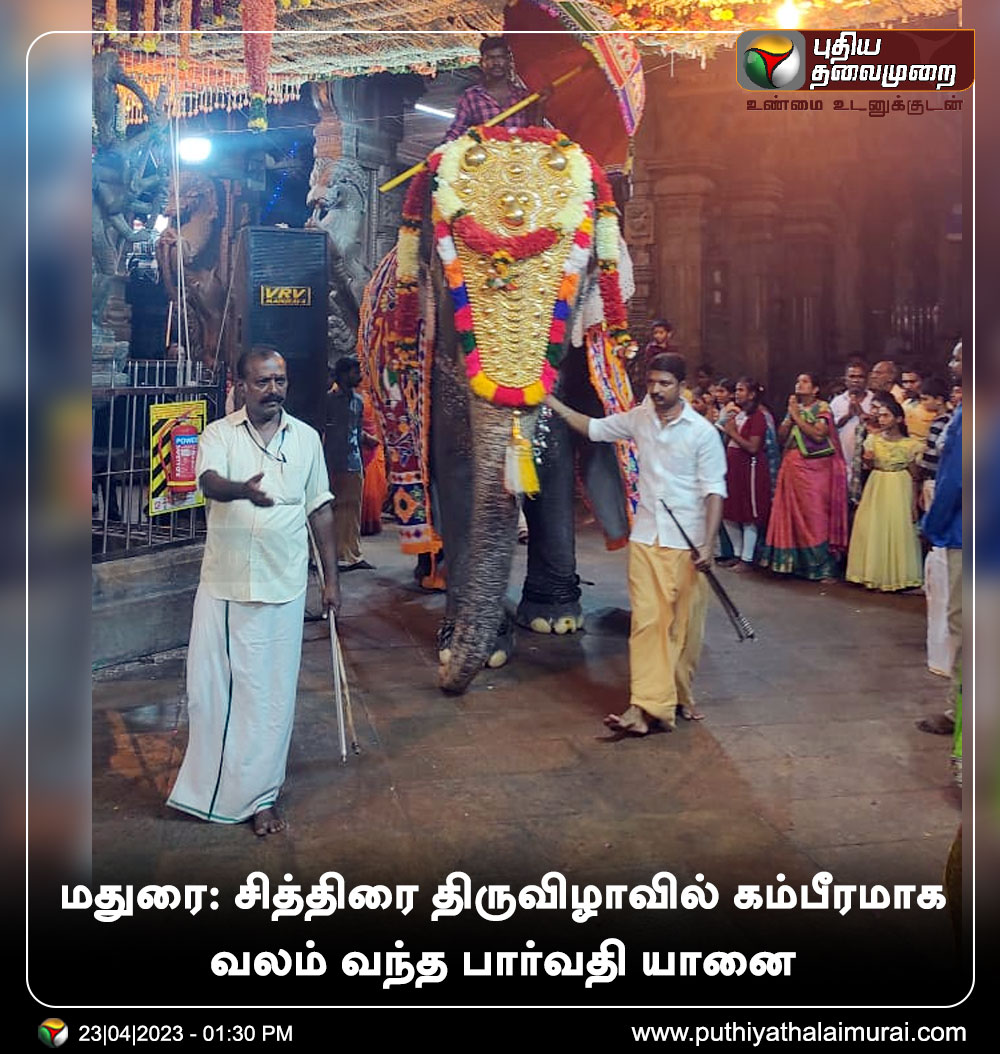 PttvNewsX's tweet photo. மதுரை: சித்திரை திருவிழாவில் கம்பீரமாக வலம் வந்த பார்வதி யானை
#Madurai | #Meenakshiamman | #TempleFestival | #ChithiraiThiruvizha | #Elphant | #ParvathyElephant https://t.co/6SY7zAkoCn