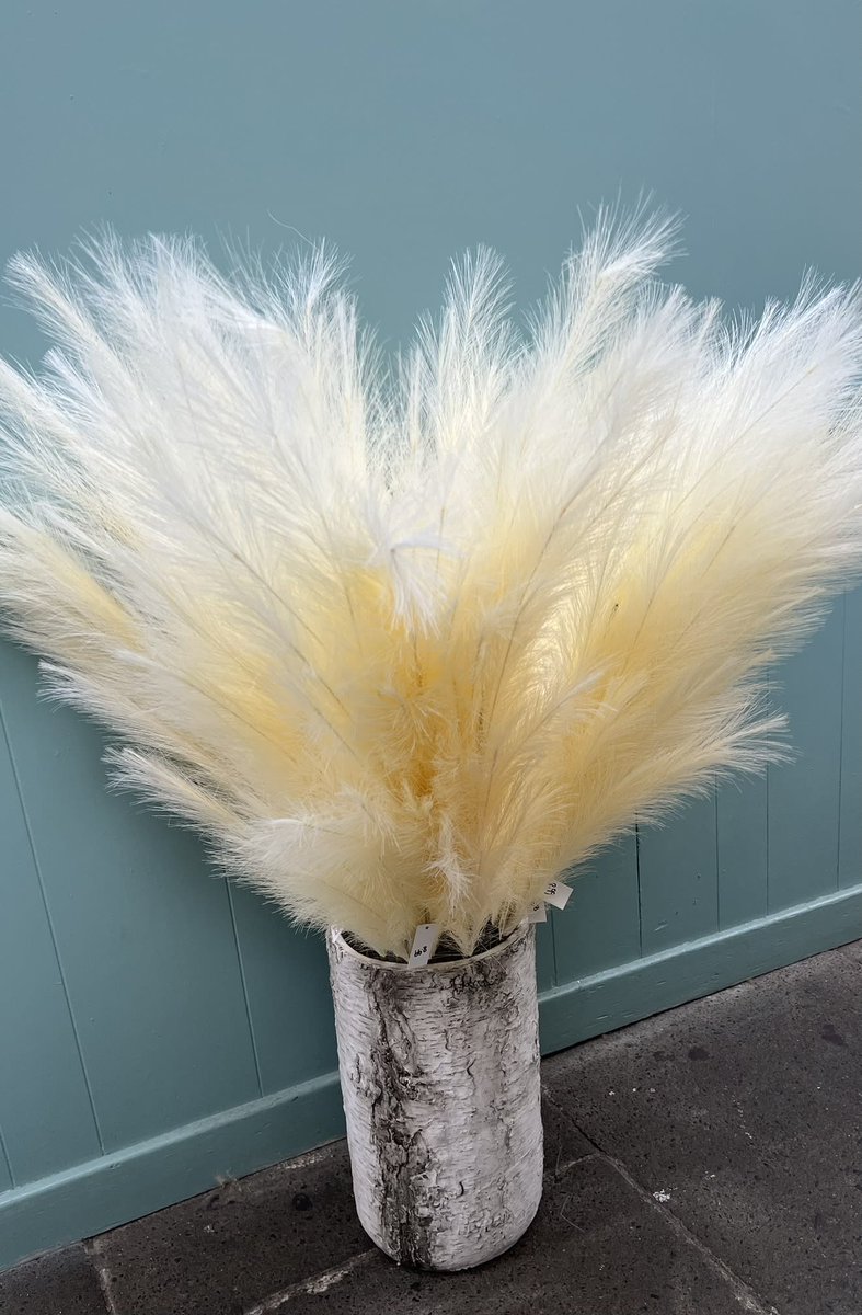 Forget Me Not Florist Neath tweet media