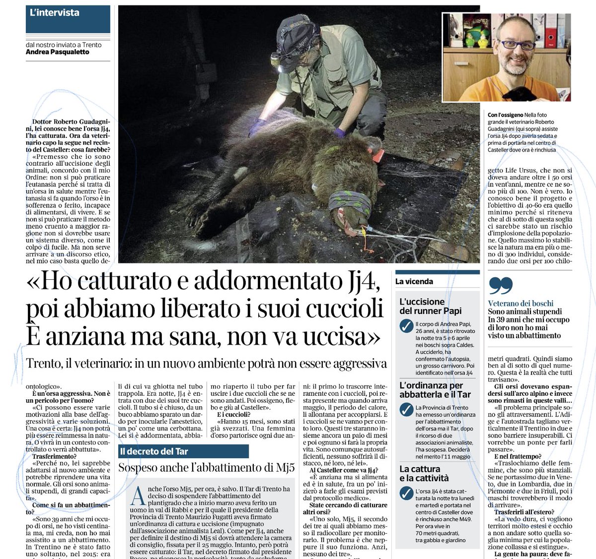 Illuminante intervista a Guadagnini, veterinario capo progetto orsi: no a uccisioni, si a santuario-rifugio per JJ4, dispersione possibile. “Non è vero il numero massimo di 50 in Trentino, ma 2 orsi per 100 kmq quindi 300” come firmato da <a href="/ProvinciaTrento/">Provincia autonoma di Trento</a> Serve altro?