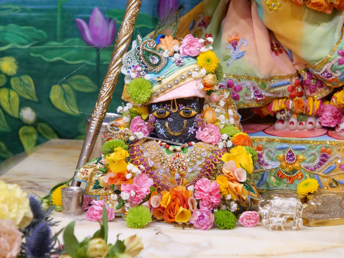iskconlondon's tweet photo. Today's Deity darshan in Pastel Rainbow outfit #krishna #radharani #radhakrishna #girigovardhan #gauranitai #jagannath #baladev #subhadra #srilaprabhupada #deities https://t.co/oVhCwLgjr0