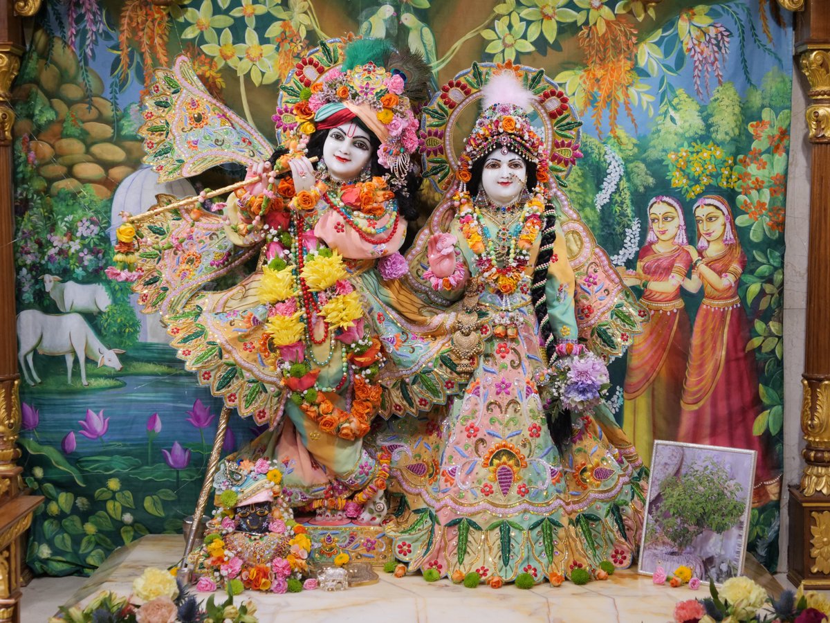 iskconlondon's tweet photo. Today's Deity darshan in Pastel Rainbow outfit #krishna #radharani #radhakrishna #girigovardhan #gauranitai #jagannath #baladev #subhadra #srilaprabhupada #deities https://t.co/oVhCwLgjr0