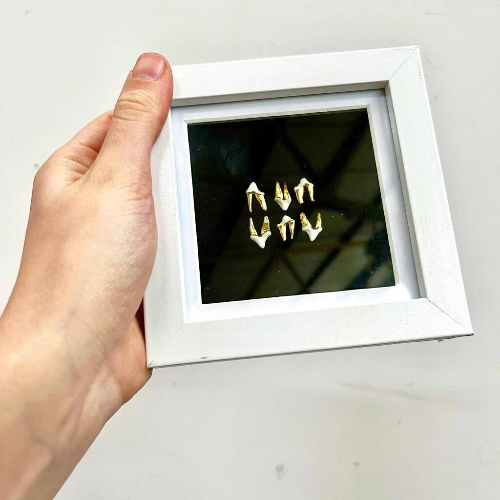 kintsugilt's tweet photo. Only one of these available! Get it now in my shop! It’s only open until may 1st!!!!!! 
.
Fox teeth in 10x10cm shadow box frame
.
#foxteeth #fox #taxidermy #vultureculture #goth https://t.co/jAvM1F5r0P https://t.co/KUQBZfSaua