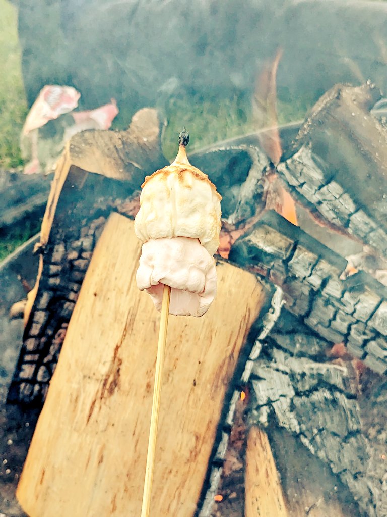 Toasted marshmallows to end a long day's walk. <a href="/DofE/">The Duke of Edinburgh’s Award</a> at its best. Thanks for the fire pit and digs <a href="/FieldCampsite/">Field House Camping & Coffee Barn</a>.