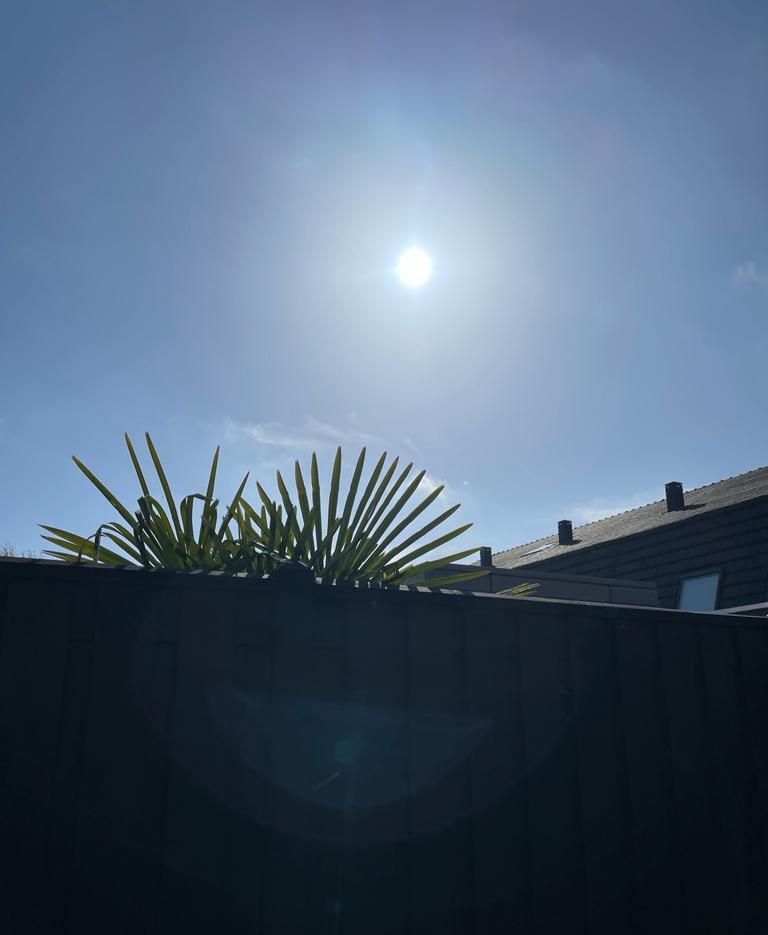 MeteoVoorne's tweet photo. Vanochtend kun je even genieten van de zon! Vanmiddag volgt er weer regen... https://t.co/AqcrQ8Mvc0