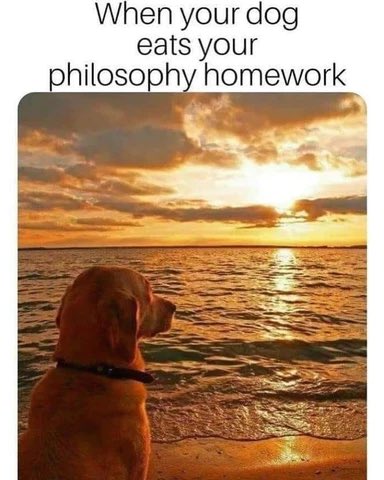 Doge Norway tweet media