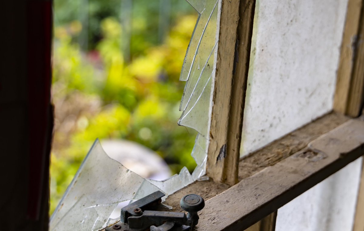 carrollste's tweet photo. The latest instalment of our house renovation odyssey for @IrishTimes features banks, grants, single glazing and small signs of progress ‘A thatch? Is it insured?’ asked the mortgage manager: Diary of a first-time homeowner’s renovation project

https://t.co/EQXmTdTibJ https://t.co/6KPrDCJqdi