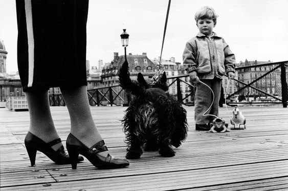 PierreBotte1's tweet photo. "Each his own on the "Pont des Arts - Paris"      :-)
  Elliott Erwitt https://t.co/IefCtUxkHD
