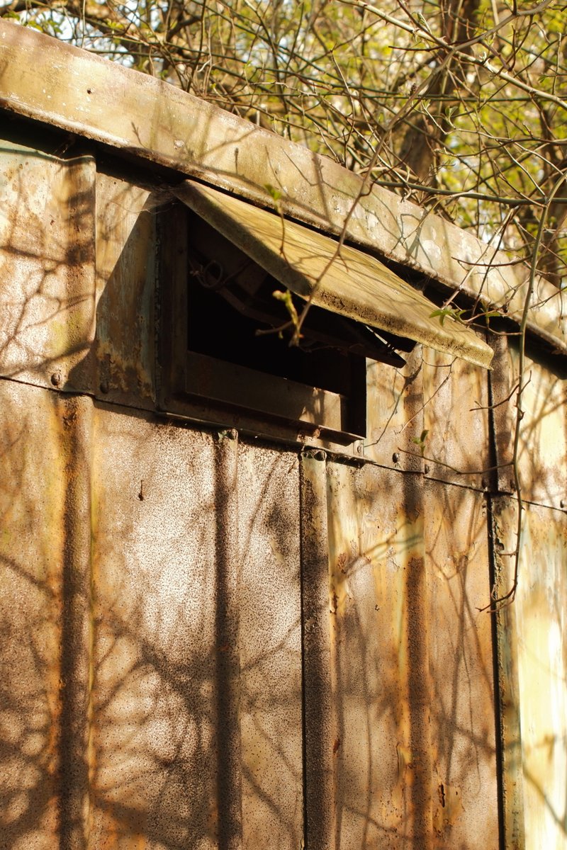 RedkiwiH's tweet photo. The old wagon. Hidden away in the bush is this old wagon.. just a old wooden ladder inside and a few scrap pieces of wood.. it was a interesting subject for a Friday afternoon walk. #oldwagon #wagon #photography #Hidden https://t.co/hL85YfLBN9