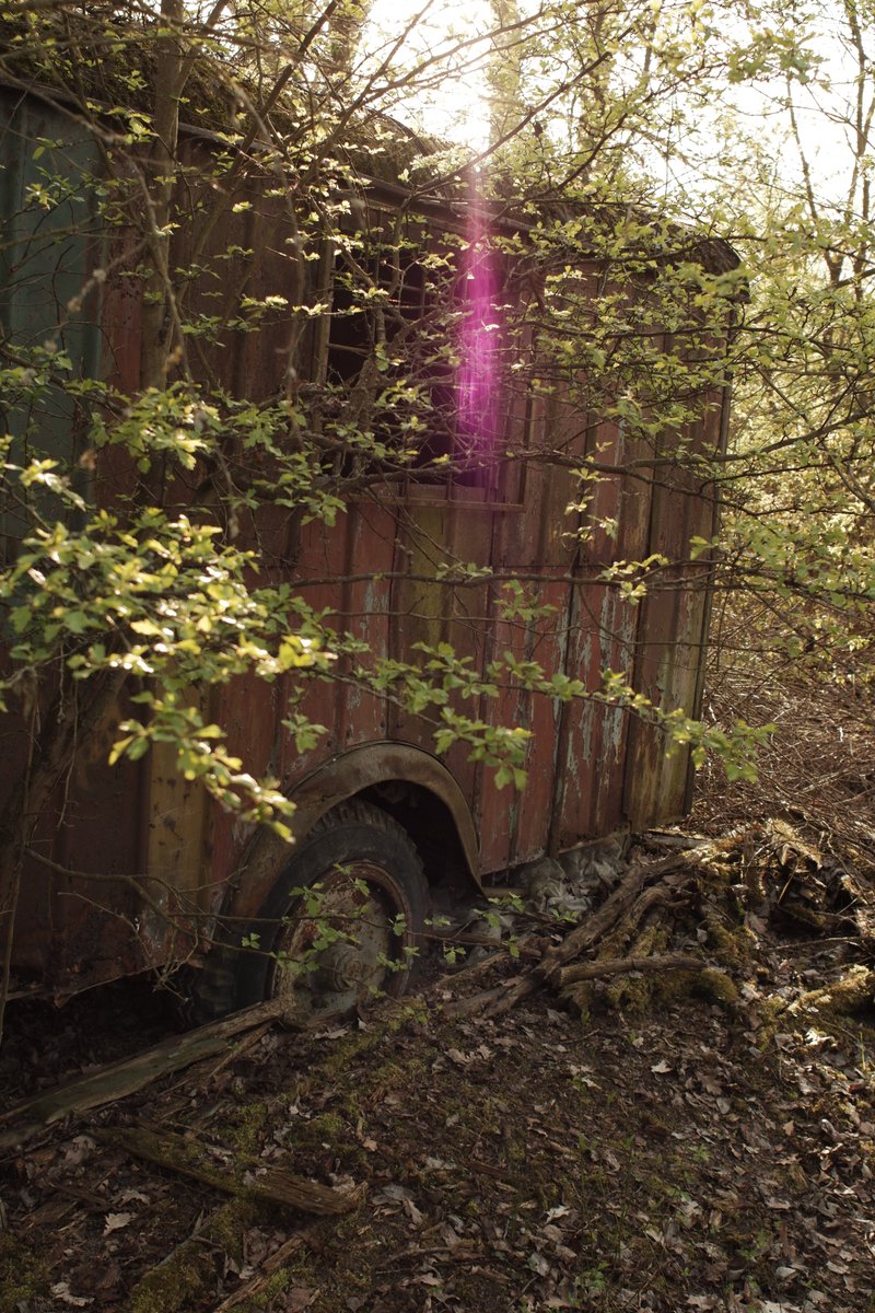 RedkiwiH's tweet photo. The old wagon. Hidden away in the bush is this old wagon.. just a old wooden ladder inside and a few scrap pieces of wood.. it was a interesting subject for a Friday afternoon walk. #oldwagon #wagon #photography #Hidden https://t.co/hL85YfLBN9