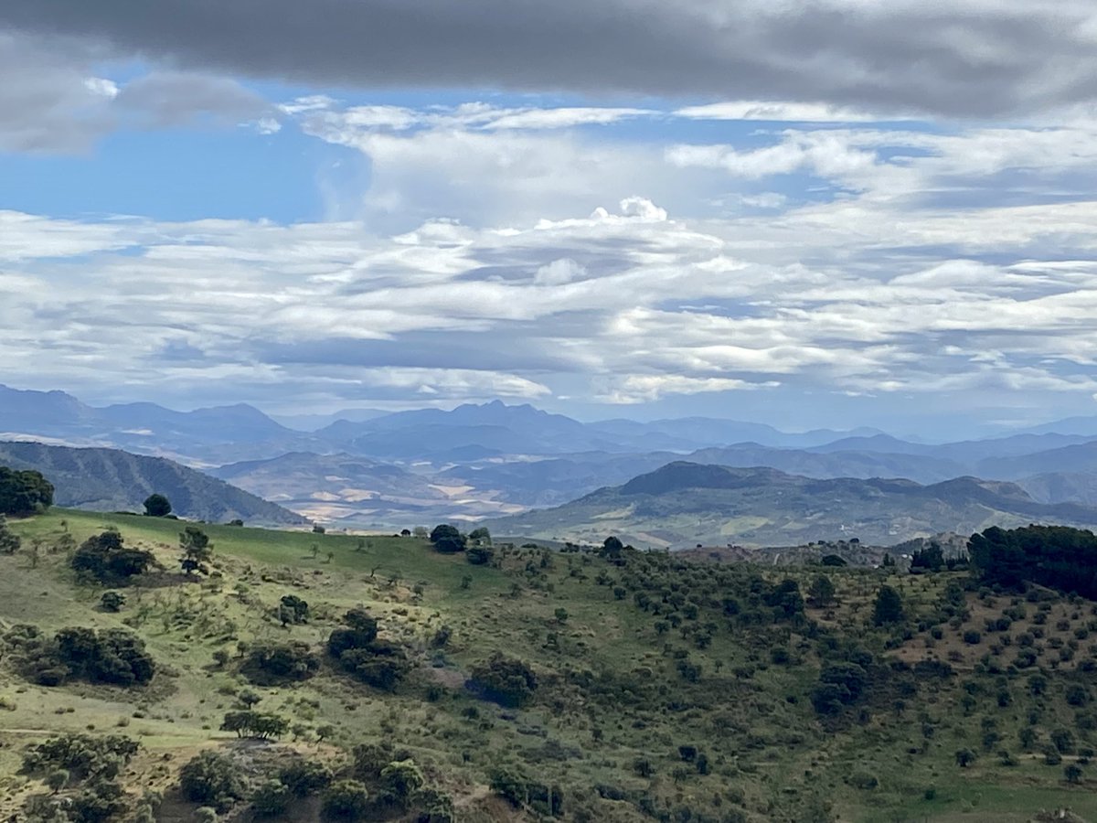 Salvemos Canal Roya por un desarrollo sostenible #DiaDeLaTierra 
@BielayTierra @MarinaGrosBreto  @ecologistas #JoseLuisMartínez @PDMAAragon #NatxoBlanchart @arribalasramas @StopEcocidioEsp @alcanduerca 
#CanalRoyaRadio3 #salvemoscanalroya @CULTURA_BONELA