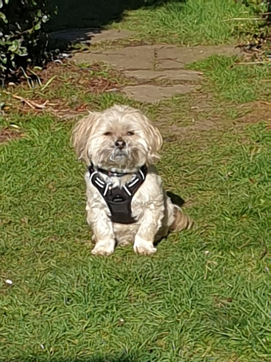 Nicola Mears tweet media