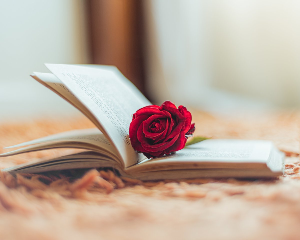 FSSANTCUGAT's tweet photo. 🌹📕 Des del Futbol Sala #SantCugat us desitgem una bona diada de Sant Jordi!

#SantJordi #SantJordi2023 @jordpalau @alberttejero @manelm1972 @martacolome6 @SamyaaBouras @AnnaPaA19 @LosaAitor @FCF_CAT @ballarideclaque @santi_gea @jordicampoy8 @Carlos_diiaazz @mmiralles_ https://t.co/PHgJZajZoM