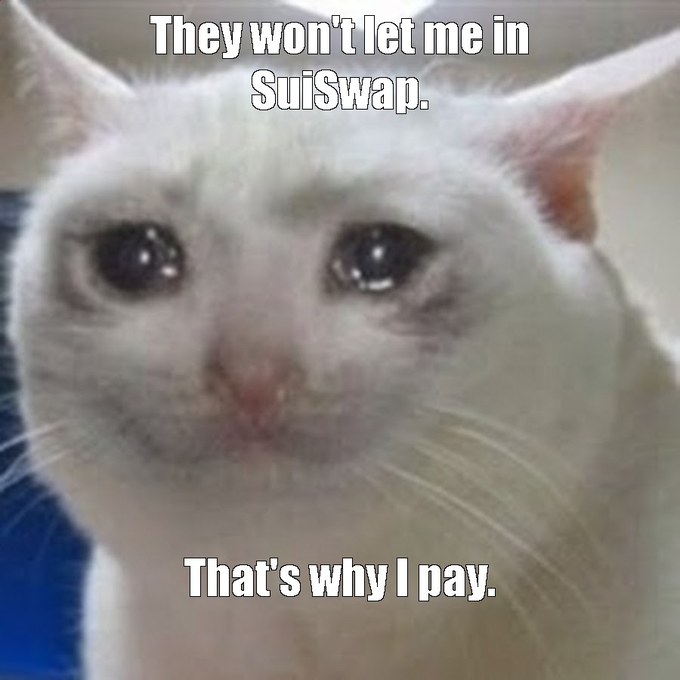 ADEKGEMI's tweet photo. @suiswap_app    #SUI
You want a drop, you go to SuiSwap.👍 https://t.co/DhlKc6GRCp