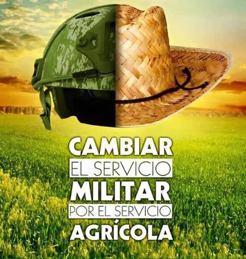EcoInventos's tweet photo. ¿Cambiarías el servicio militar por un servicio agrícola? https://t.co/x0ENR1exrl