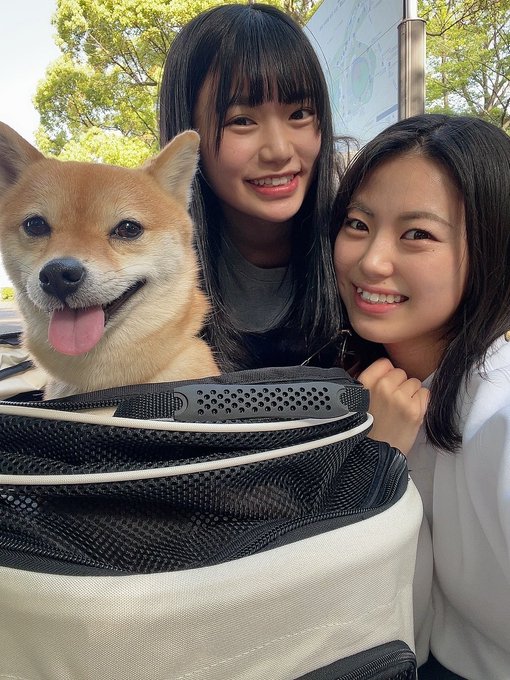 石上ひなののTwitter画像46