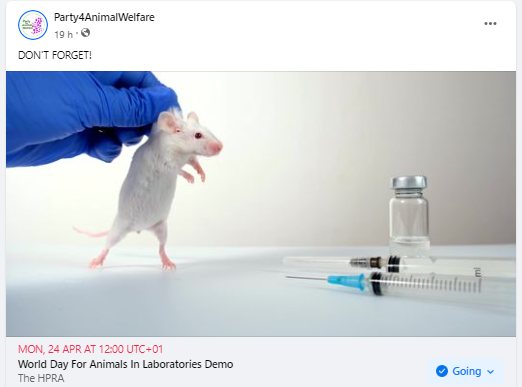AnimalPartyIE's tweet photo. DON'T FORGET!
MONDAY, 24 APRIL 2023 AT 12:00 UTC+01
World Day For Animals In Laboratories Demo
at The HPRA, Dublin, Ireland.
https://t.co/DjHIuyUmpR
@theIAVS
@NARACampaigns
@SAFRIreland
#BanBotoxTesting
#BanAnimalTesting
#EndAnimalTesting
#AnimalLivesMatter https://t.co/sg58kroF7c