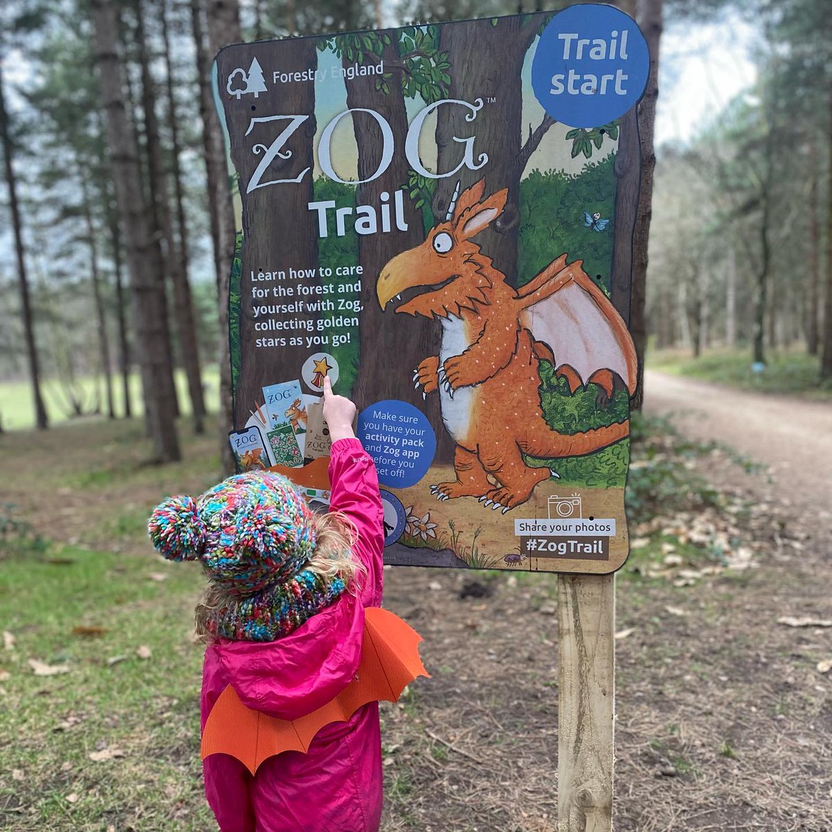 ForestryEngland's tweet photo. We’re so excited to see everyone enjoying #ZogTrail in the nation’s forests 🌲 

It's a fun, family activity no matter what weather the weekend brings 🌨️ 

Remember to tag us in your photos 😉

📸 The Morris Girls
📍 Sherwood Pines https://t.co/DPz83ezPTI