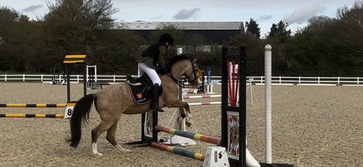 FSEquestrian's tweet photo. Fabulous 2nd 🥈place for Barney today, first time competing for Felsted! @HeadFelstedPrep @felstedprep https://t.co/4WWhkpLWei