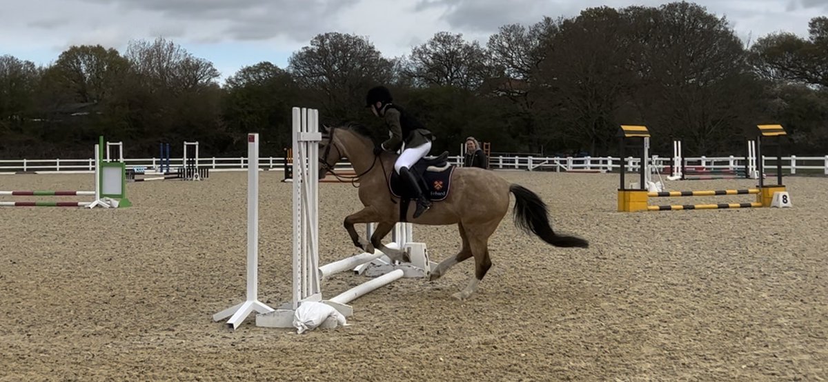 FSEquestrian's tweet photo. Fabulous 2nd 🥈place for Barney today, first time competing for Felsted! @HeadFelstedPrep @felstedprep https://t.co/4WWhkpLWei