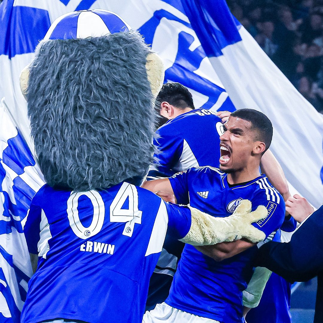 Die ganze Stadt steht hinter dir,
die Kurve stolz und treu zu dir,
eines ist hier jedem klar,
Schalke du bist wunderbar...

#SCFS04 #S04