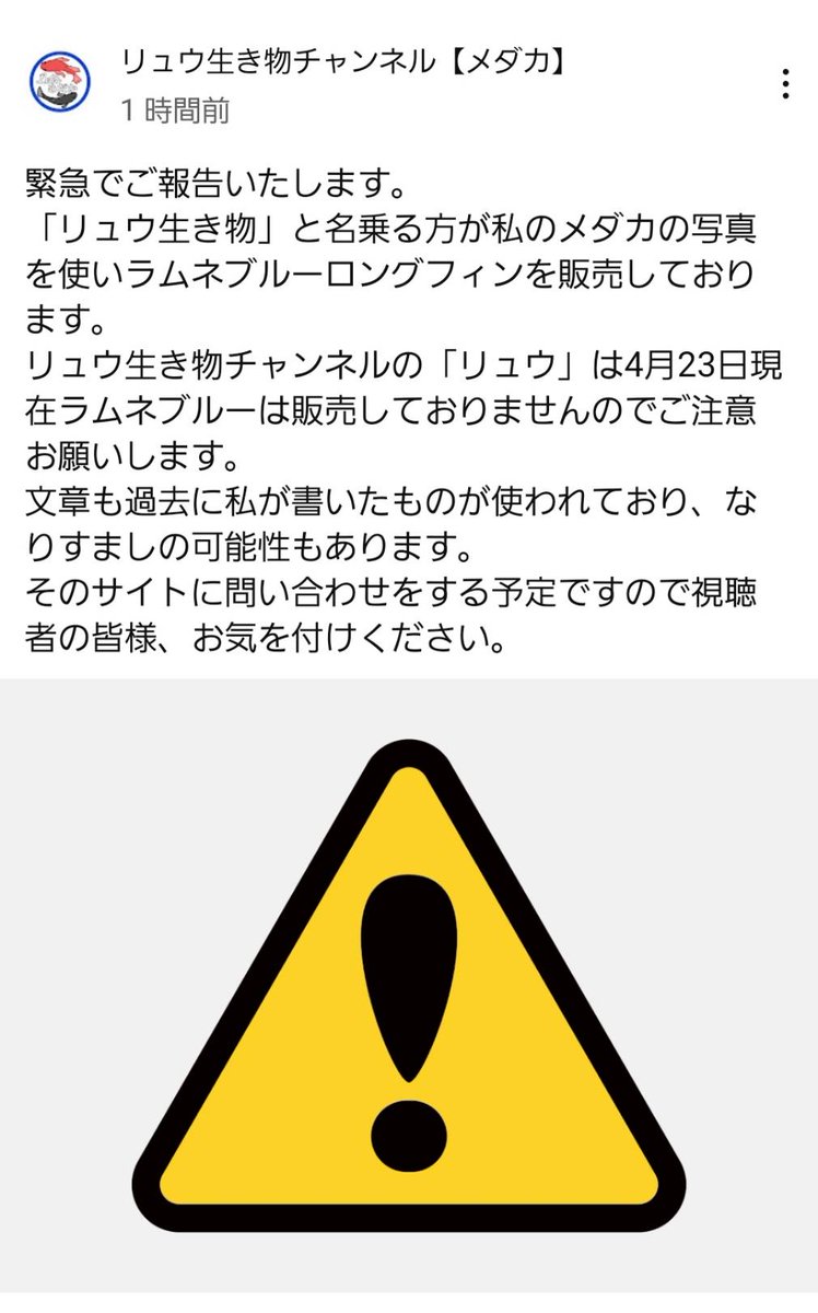 ryuchanrararara's tweet photo. こんばんは。拡散希望します🙇‍♂
YouTubeのコミュニティにも載せました。
私はラムネブルーを一度去年販売しただけですので、皆さん気を付けてくださいませ。
昨日はハウスを獣に荒らされて今日はこれが発覚です。

すみません！泣いてもいいですか？😭 https://t.co/gYJ96Lpinn
