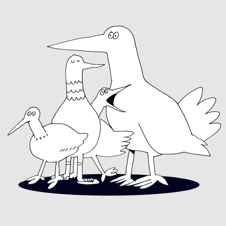 鳥たち 