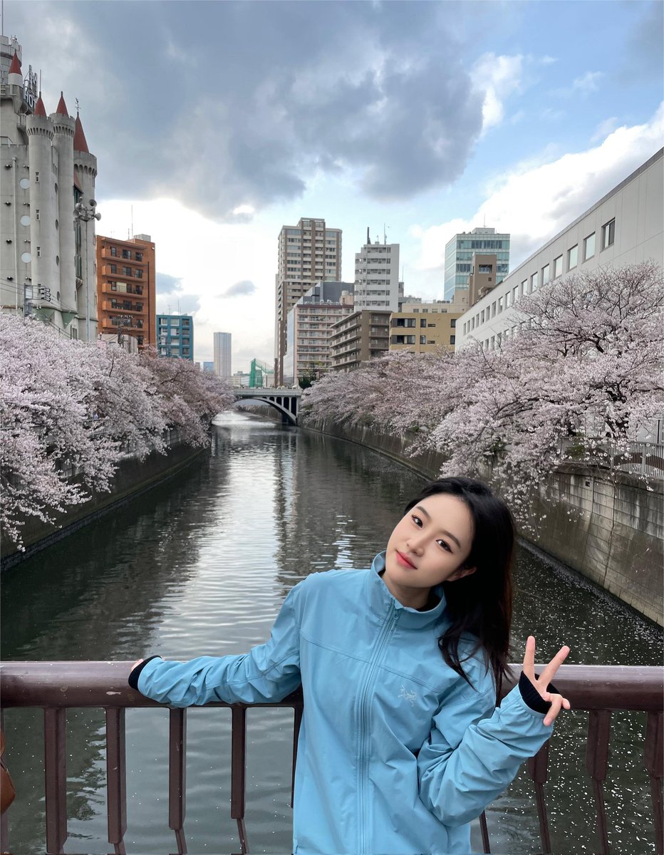 はかなげな
かわいい
美しい花なのに