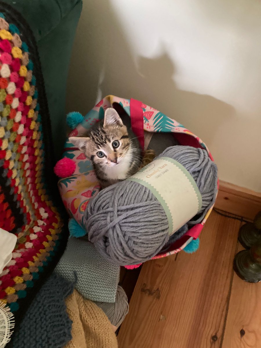 Danny Kelly tweet media