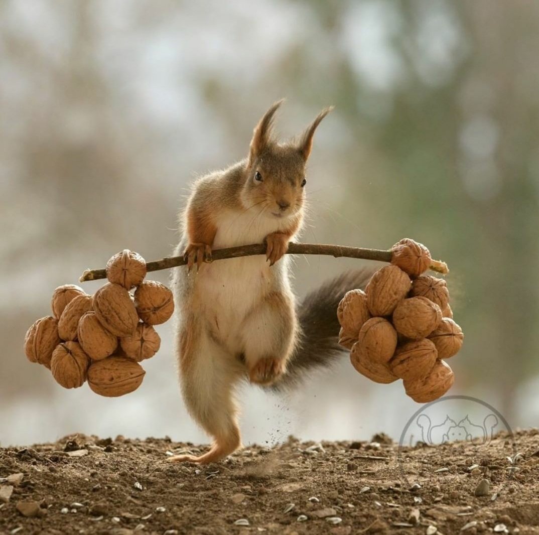 وأنت في طريقك للحياة.. لاتنسى أن تعيش 💜