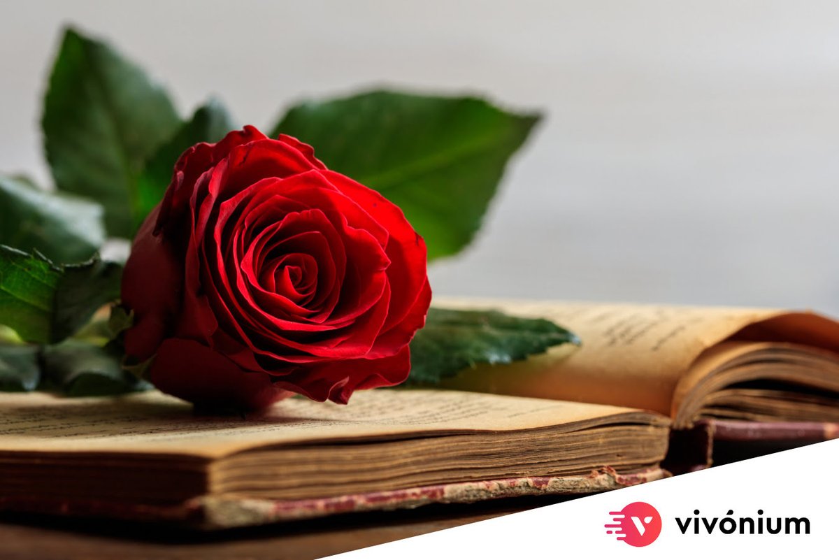 Feliz domingo de Sant Jordi #SantJordi2023 #MALLORCA #DiadelLibro2023