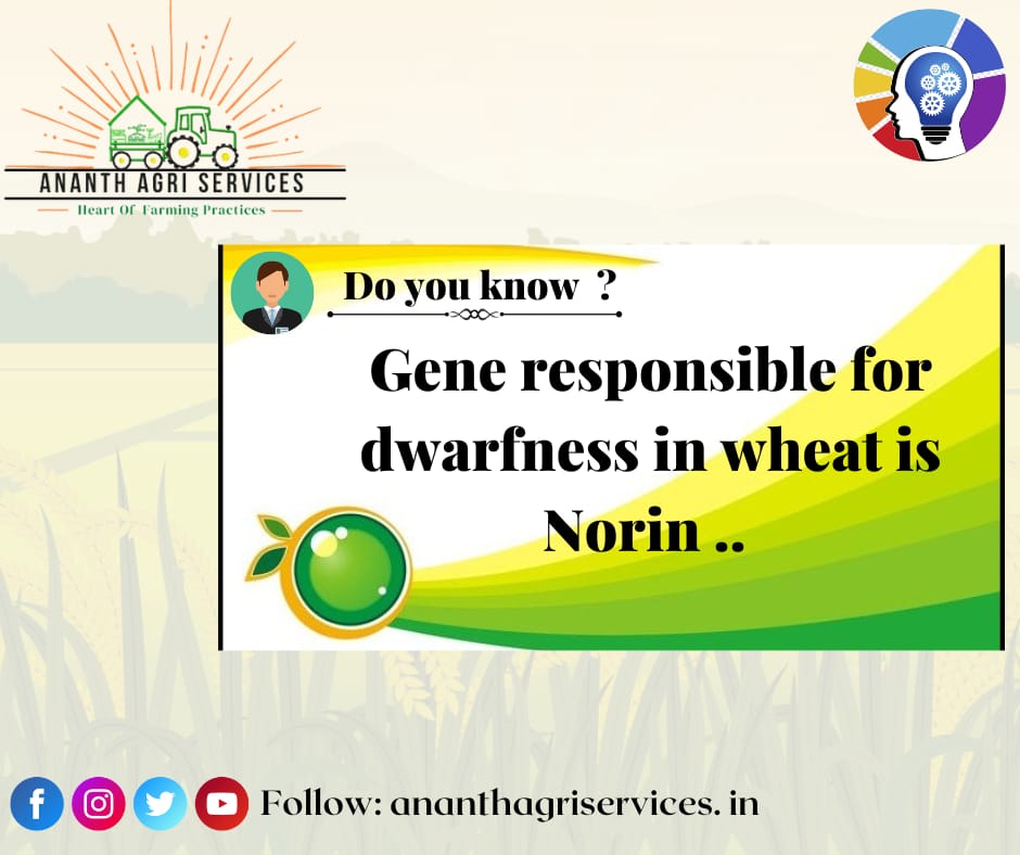 AgriAnanth's tweet photo. #agriculture #agricultureworldwide #agriknowledge #agriculturelife #agronomy #agricultureworld #agricultureindia #farminglife #farming #farmer #farmknowledge #lpu #lpuuniversity #lpudiaries https://t.co/9TviYj8eP1