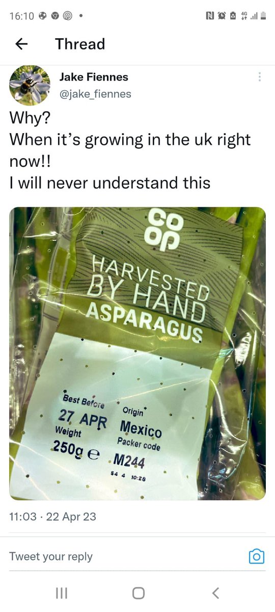 Liz Webster tweet media