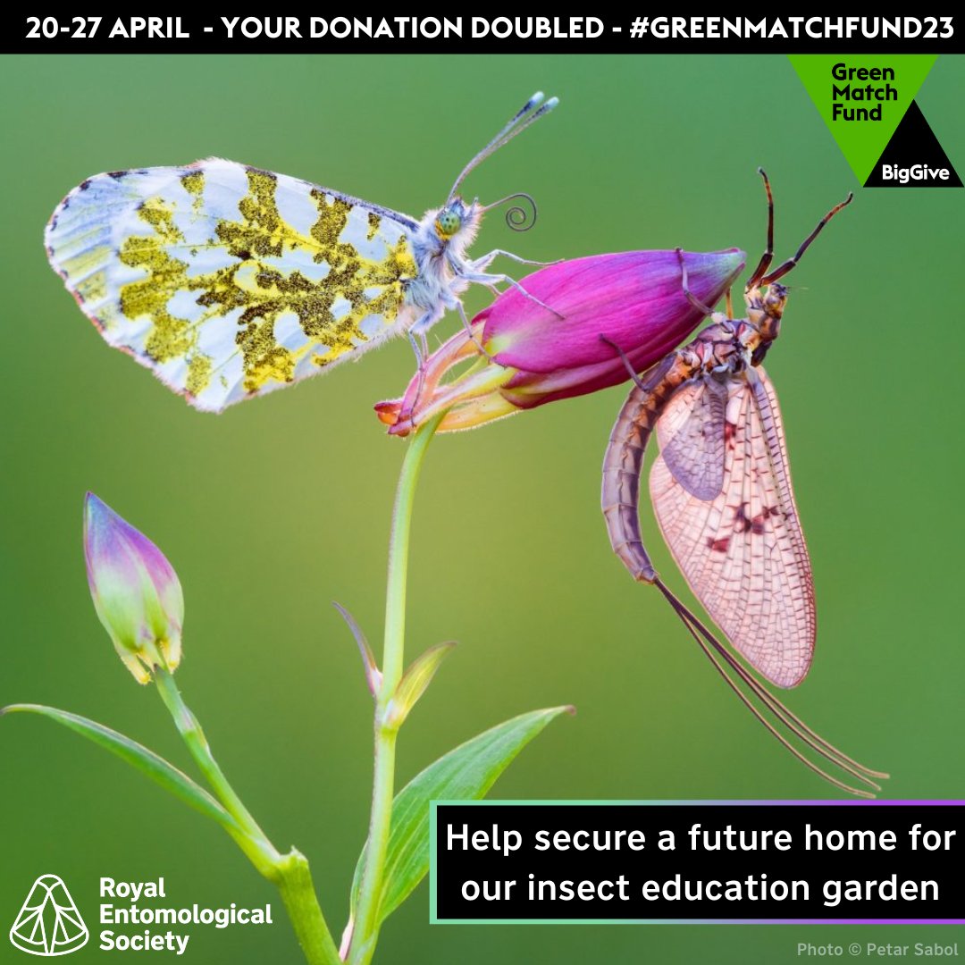 RoyEntSoc's tweet photo. We're taking part in the @BigGive #GreenMatchFund, and that means that for ONE week, your donations will be matched, pound for pound.

Between the 20th-27th April, the first £10,000 of donations received will be DOUBLED - Ends midday Thursday

Donate now: https://t.co/9EwqaL5L4r https://t.co/KoyDKn5PCs