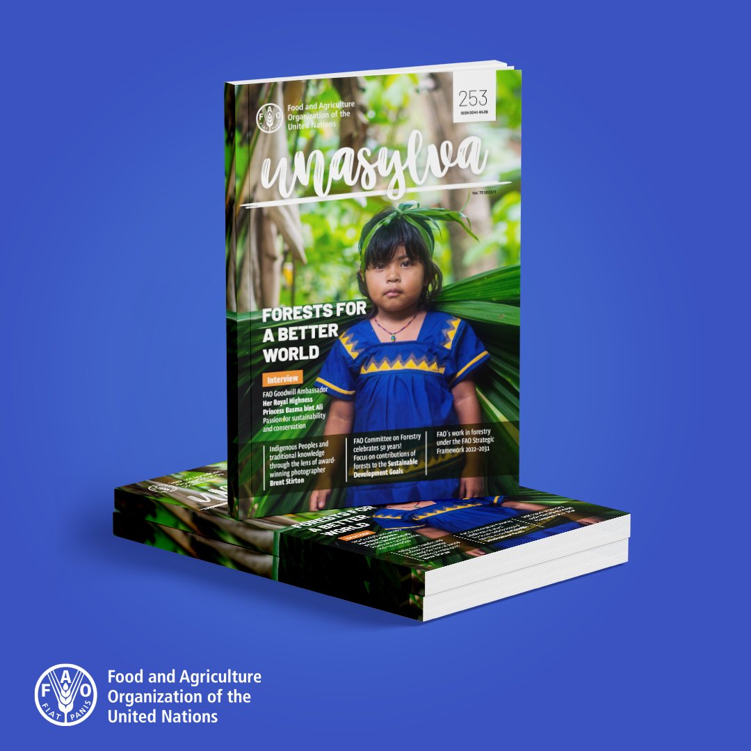 🌳🌲Four ways forests can improve our future!

Download <a href="/FAO/">Food and Agriculture Organization</a>'s forestry journal free:

#Unasylva - Forests for a better world

👉 bit.ly/3FBRZuW