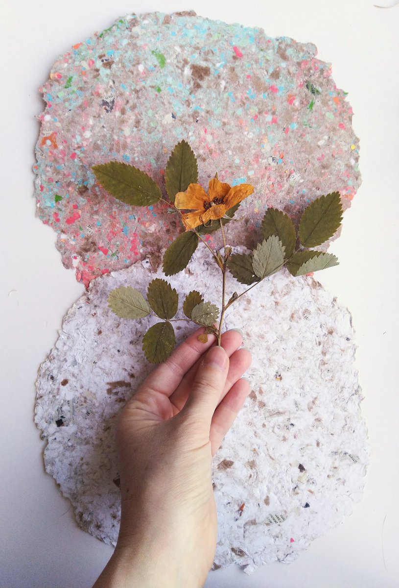 Hello, I decided to write about myself and what I do.  I am a painter and graphic artist and I love this planet earth.  Yes, I make paper with my own hands, from waste paper.  handmade paper is cosmically beautiful.