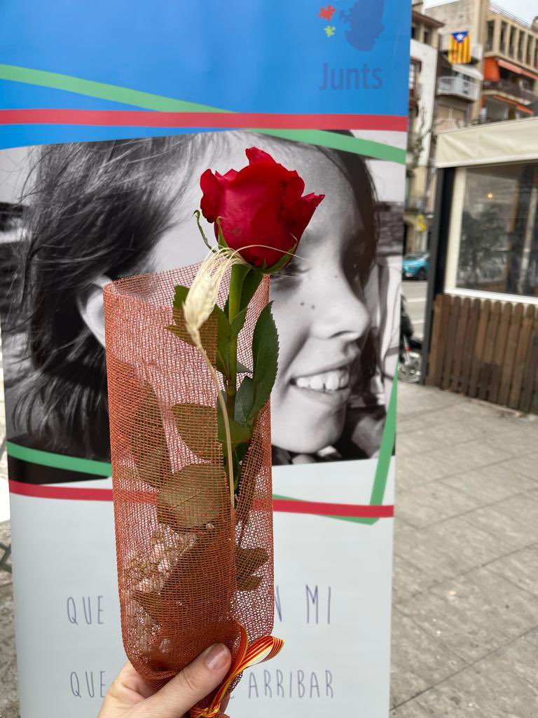 juntsautisme's tweet photo. Feliç Sant Jordi! L’equip de #juntsautisme ja hi som a la Riera Bisbe Pol, devant la Plaça de l’Església amb les nostres #rosasolidaria amb l’#autisme Us esperem! 🌹🐲 #jousveig #somaqui #vivimjunts #SantJordi2023 https://t.co/pO9BYkKREd