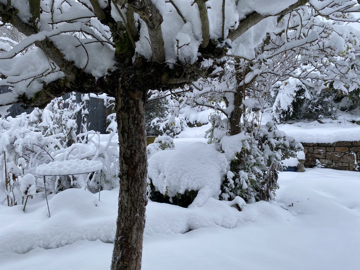 Barsby Associates tweet media