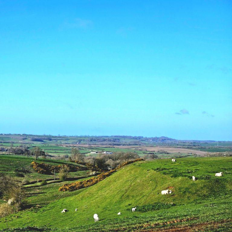 BathingNature's tweet image. Somerby Festival of Walking
Somerby is a small rural village in High Leicestershire, an area of rolling hills and quiet valleys set with small picturesque villages and farms.

naturebathing.co.uk/directory/gene…