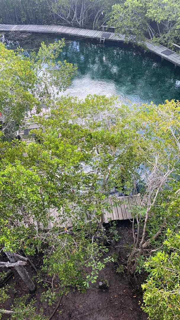 Yalahao una aventura