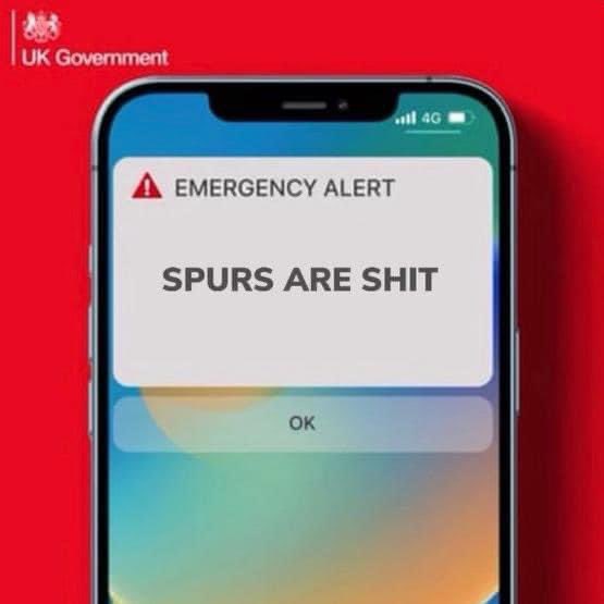 MR BUZZHARD tweet media