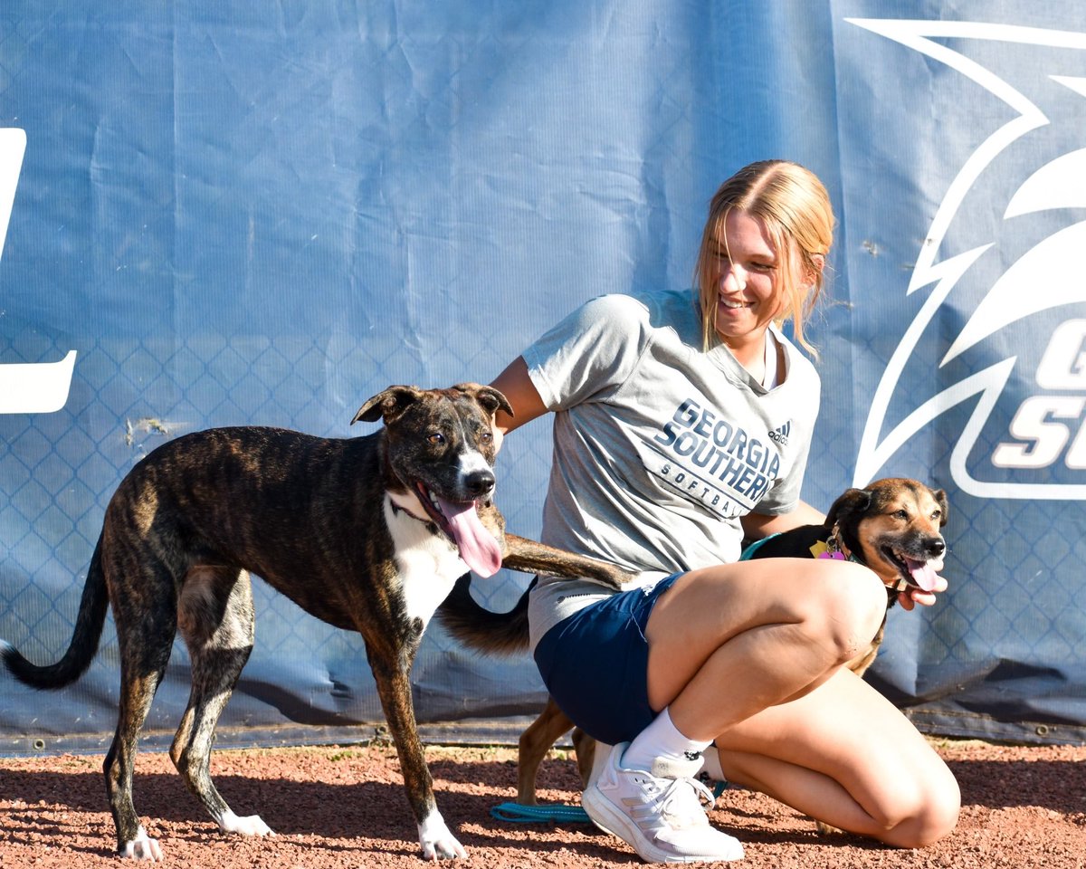 Georgia Southern Softball tweet media