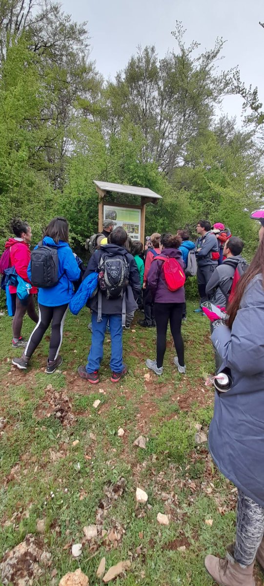 tierrasDiranzu's tweet photo. 📣🐾Hoy hemos disfrutado de una fabulosa #rutaderastreo en el #HayedodeLezaun con Servicio de Rastreo Forestal - Serafo. 🚶♀️🚶♂️🌿🐾🐾🦎🐍🦇🦨🦅 https://t.co/M4CMgqwuWX