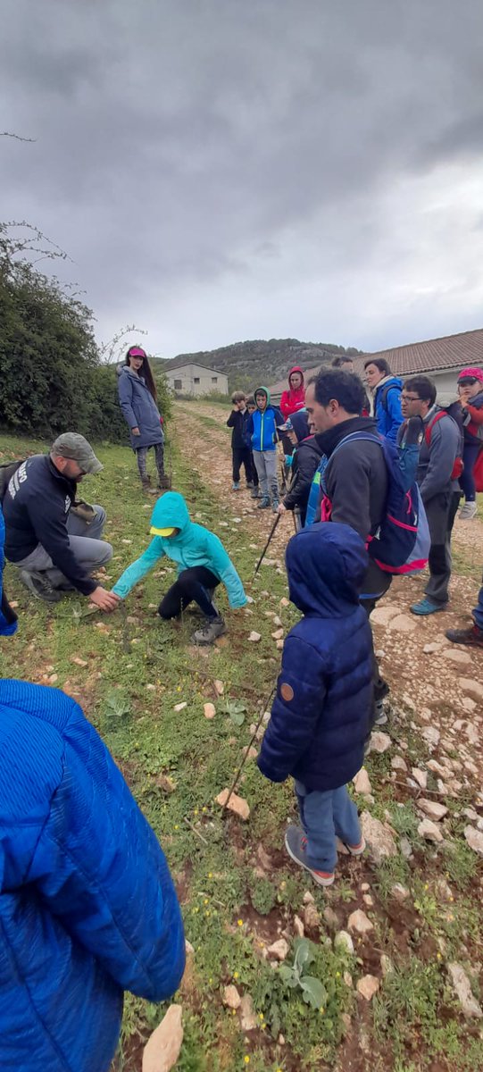 tierrasDiranzu's tweet photo. 📣🐾Hoy hemos disfrutado de una fabulosa #rutaderastreo en el #HayedodeLezaun con Servicio de Rastreo Forestal - Serafo. 🚶♀️🚶♂️🌿🐾🐾🦎🐍🦇🦨🦅 https://t.co/M4CMgqwuWX