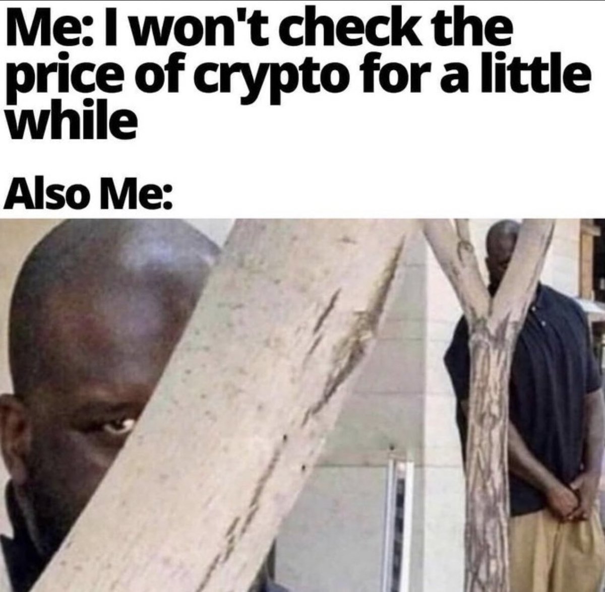 Crypto Bitlord tweet media