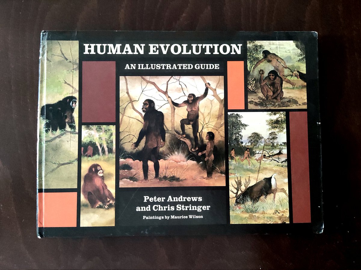 F_biglari's tweet photo. I celebrate World Book Day by sharing the cover of my favorite book with watercolor paintings by #MauriceWilson. I received this copy in 1993! https://t.co/gqlttrOJUj