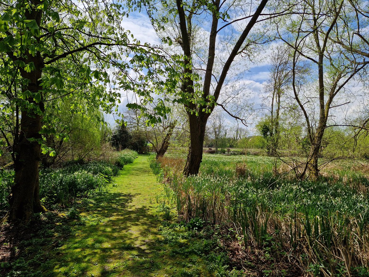 ImogenHaig's tweet photo. I'm volunteering at Withymead Nature Reserve today, and it's so beautiful. I just had to share these photos. 
#flowerpower #NaturePhotography
#nature https://t.co/PCrhPT2jPI