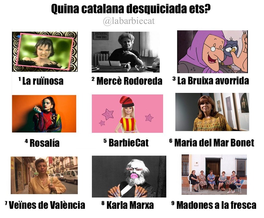 Barbie Cat tweet media