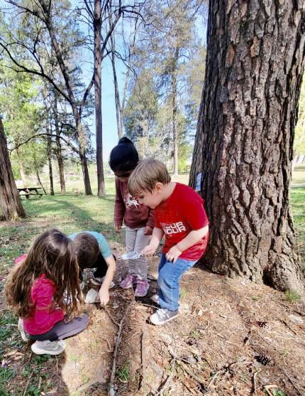 CarlenaSheeran's tweet photo. The #HCSPreschool scholars Arnold’s & Allen’s classes @RineyvilleE visited @BernheimForest on a field trip. 🌳 🐞 The #LittleRockets enjoyed petting Corny the Cornsnake, looking at bugs & visiting the Frog pond. 🐍 #HCSBetterTogether #FieldTripFun #MakingSchoolMemories #Nature https://t.co/njzHutbPLT